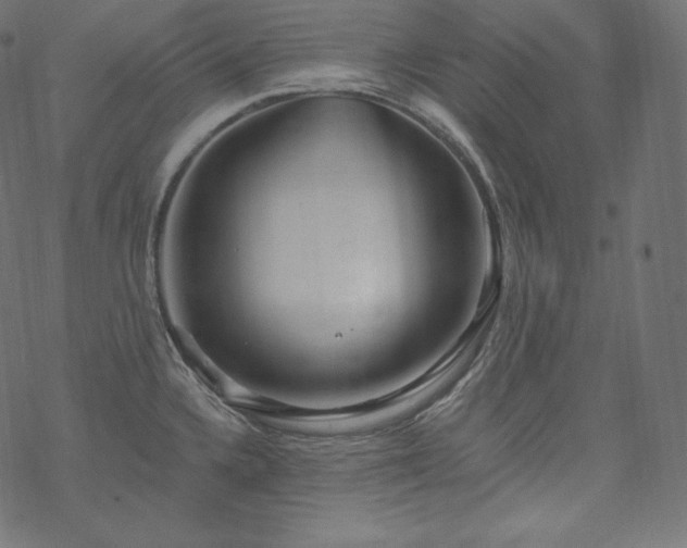 X0000070201336200605301328