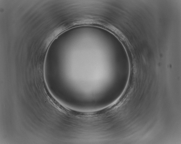 X0000070201337200605301328