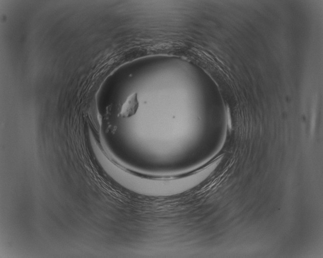 X0000070201345200605301327