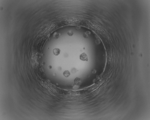 X0000070201346200605301327