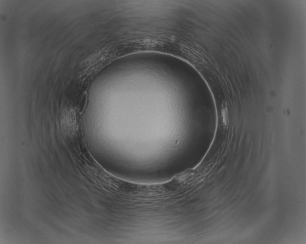 X0000070201347200605301327