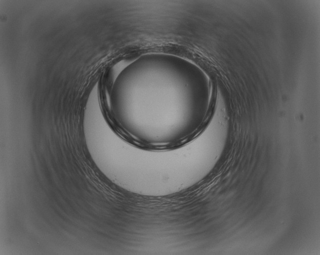 X0000070201348200605301327