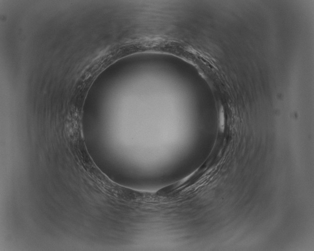 X0000070201349200605301327
