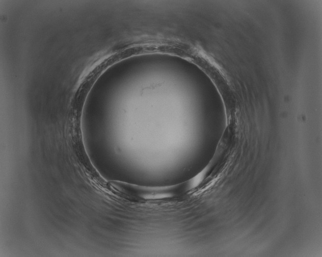 X0000070201352200605301327