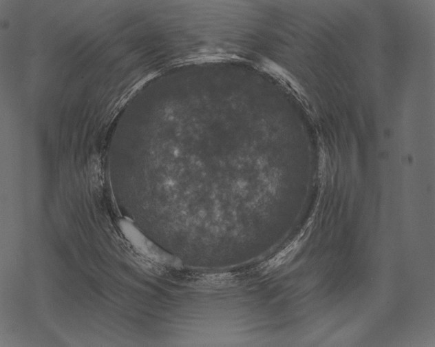 X0000070201353200605301327