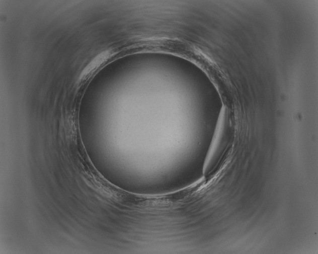 X0000070201354200605301327