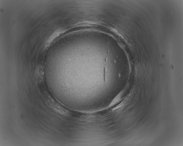 X0000070201355200605301327