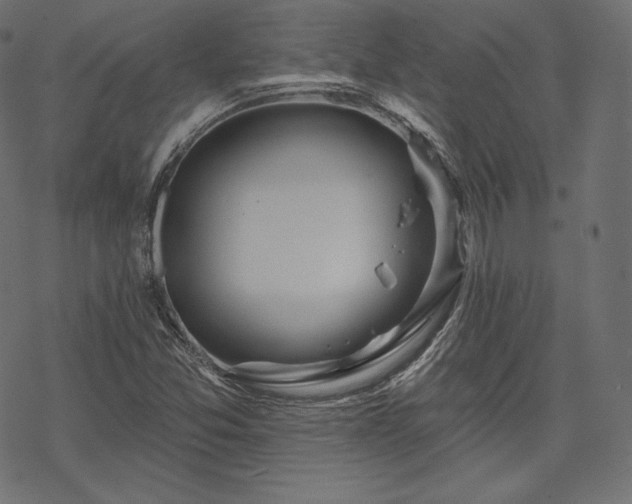 X0000070201357200605301327