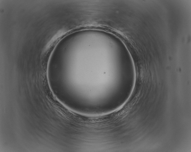 X0000070201359200605301327