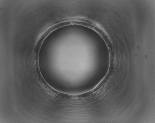 X0000070201360200605301327