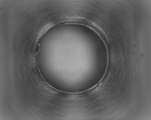X0000070201362200605301327