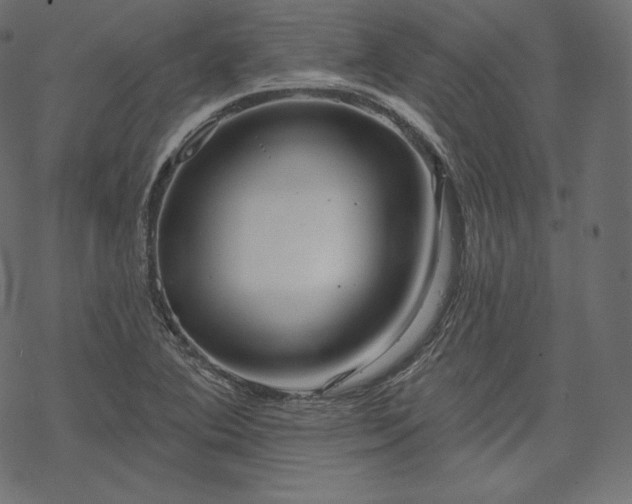 X0000070201364200605301327