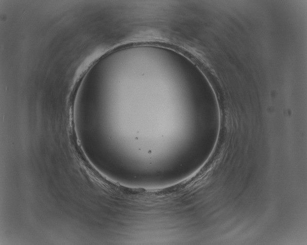 X0000070201366200605301327