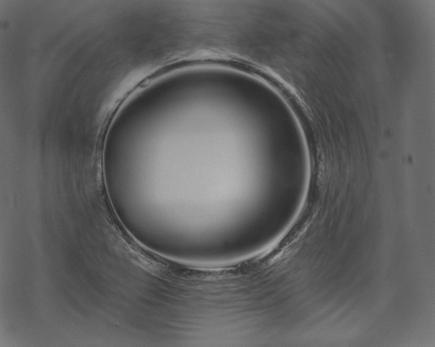 X0000070201367200605301327