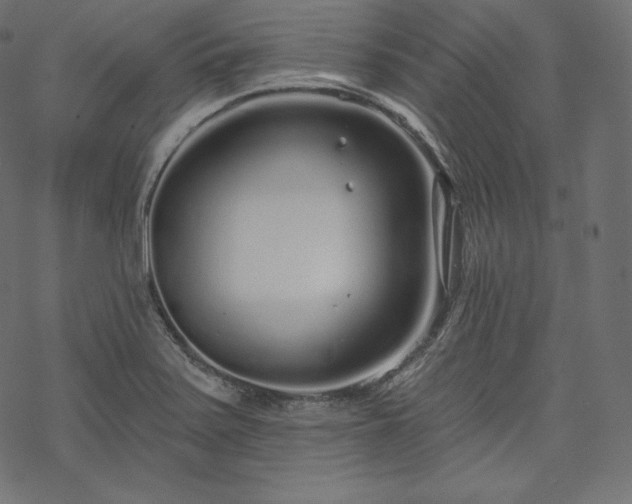 X0000070201371200605301327