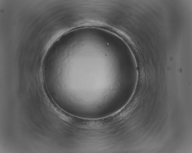 X0000070201375200605301327
