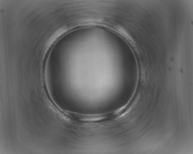X0000070201384200605301327