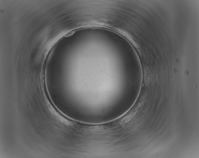 X0000070201387200605301327