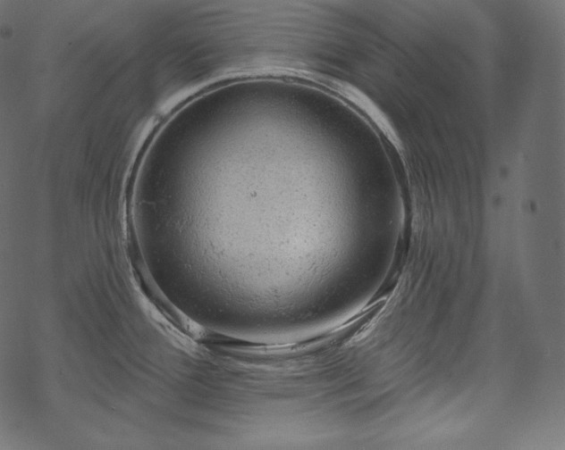 X0000070201388200605301326