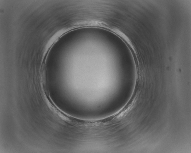 X0000070201389200605301326