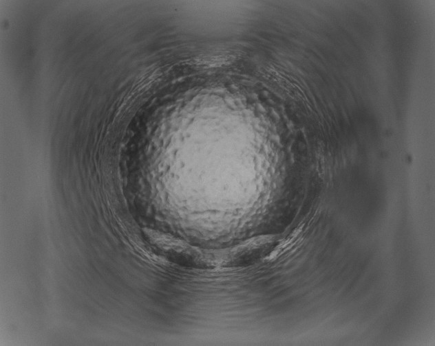 X0000070201393200605301326