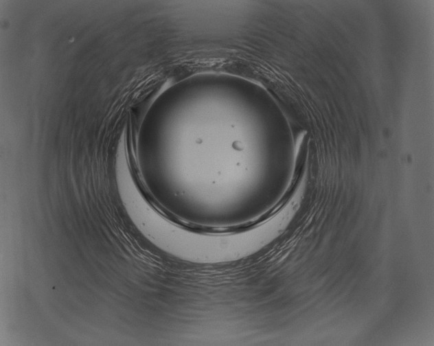 X0000070201394200605301326