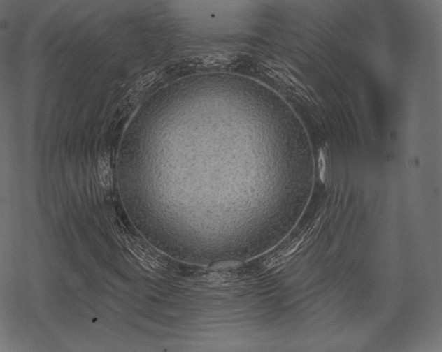 X0000070201395200605301326