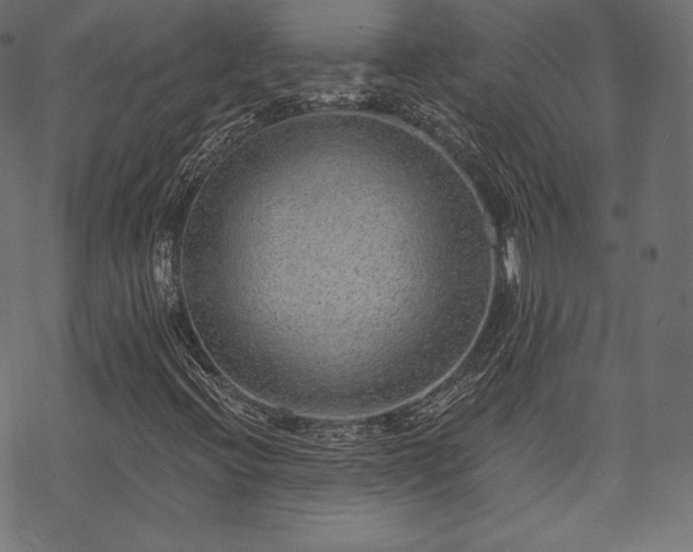 X0000070201396200605301326
