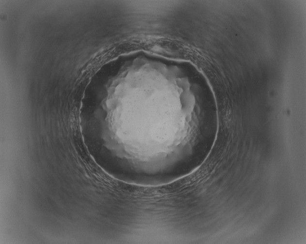 X0000070201397200605301326