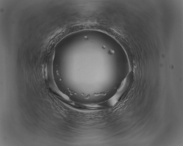 X0000070201398200605301326