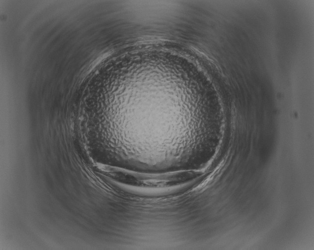 X0000070201401200605301326