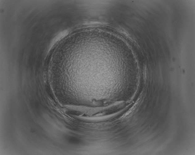 X0000070201405200605301326