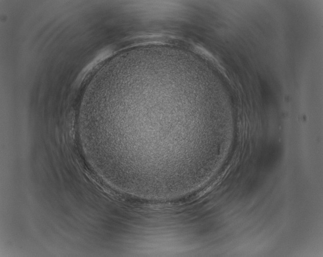 X0000070201411200605301326