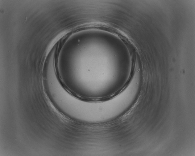 X0000070201418200605301326