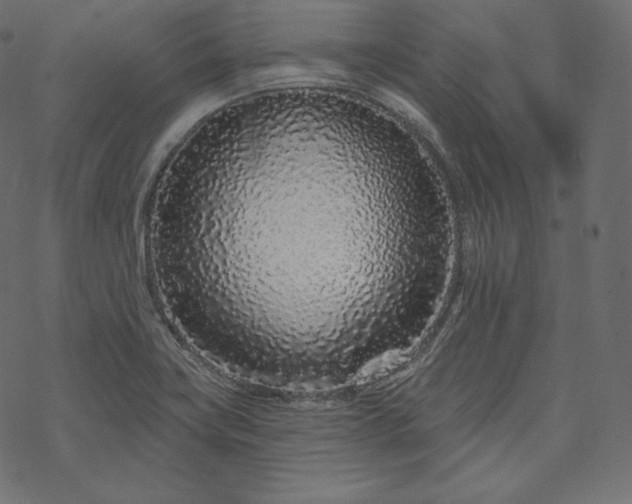X0000070201419200605301326