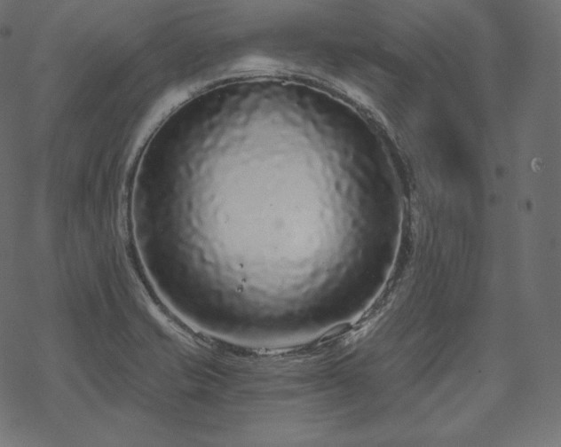 X0000070201421200605301326