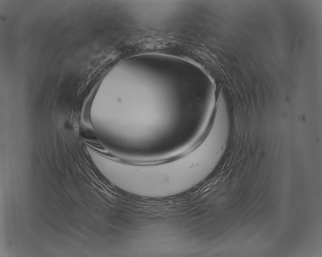 X0000070201444200605301326