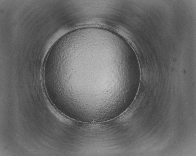 X0000070201482200605301325