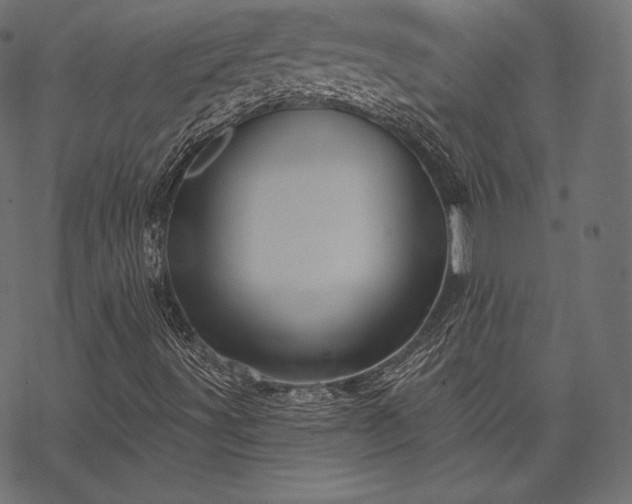 X0000070201491200605301324