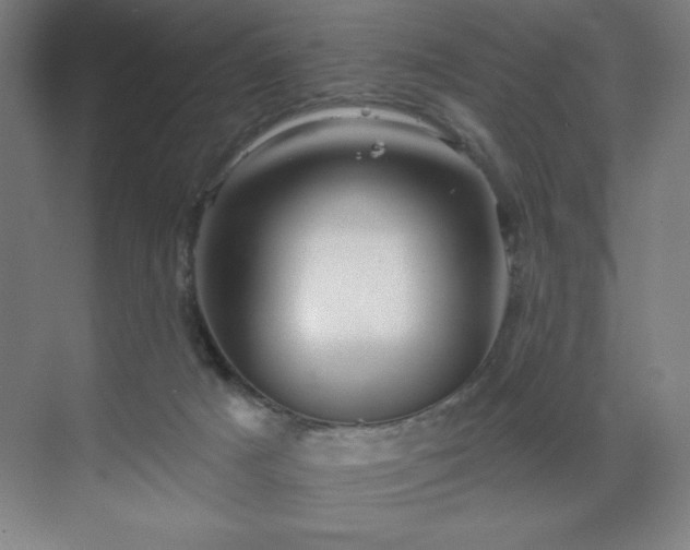 X0000070200025200606021241
