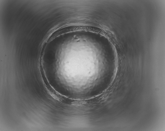 X0000070200051200606021240