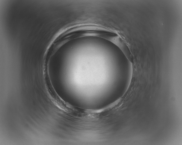 X0000070200056200606021240