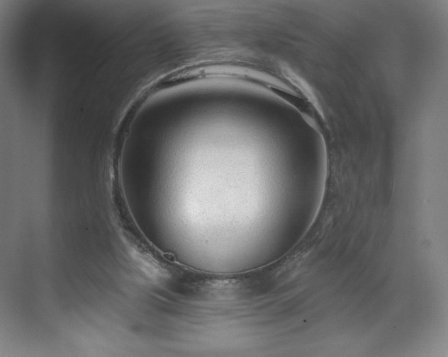 X0000070200059200606021240