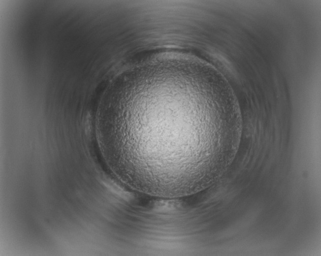 X0000070200077200606021240