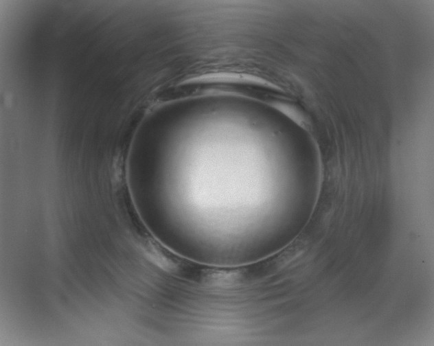 X0000070200081200606021240