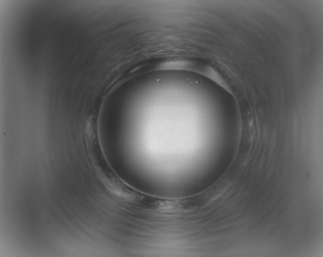 X0000070200088200606021240