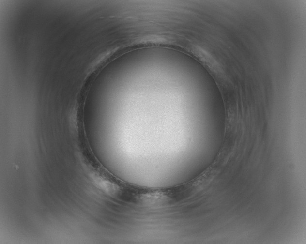 X0000070200112200606021239