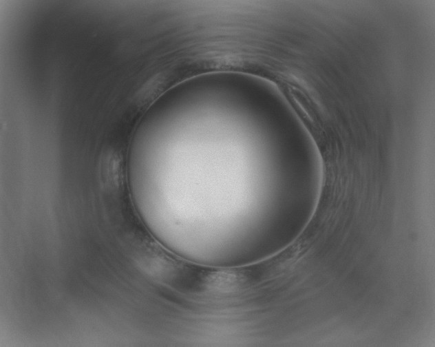 X0000070200123200606021239