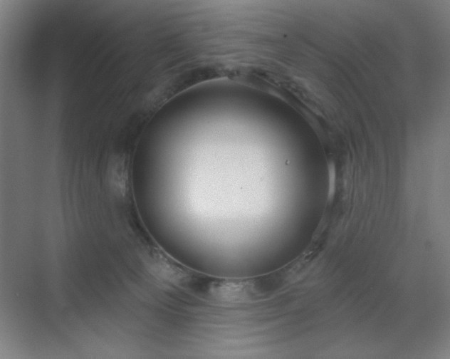 X0000070200129200606021239
