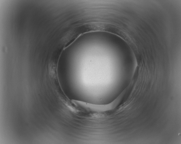X0000070200141200606021239